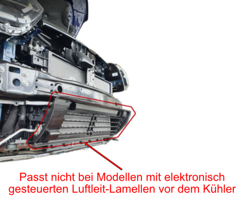 KIT MONTAGGIO VERRICELLO DACIA DUSTER DAL 2010 AL 09/2020 CON VERRICELLO WARN AXON 55-S