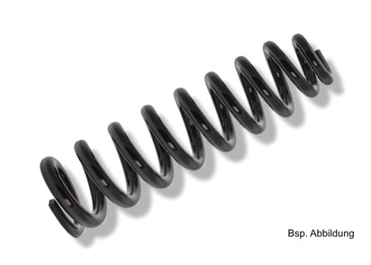 MOLLA POSTERIORE MERCEDES G