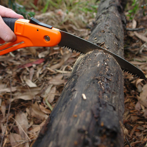 BUSHRANGER SEGHETTO A SERRAMANICO