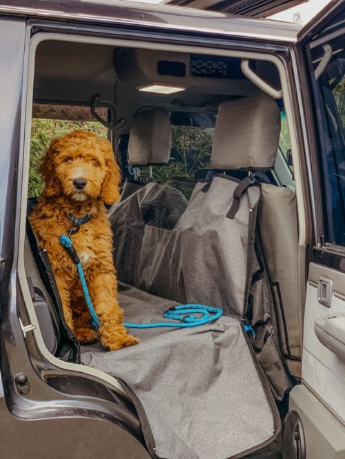 NAVIGATOR COPERTURA PROTETTIVA SEDILI POSTERIORI PER ANIMALI DOMESTICI