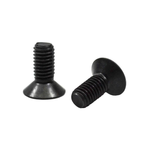 ARB COUNTERSUNK VITE 5 X 12 (COPPIA)